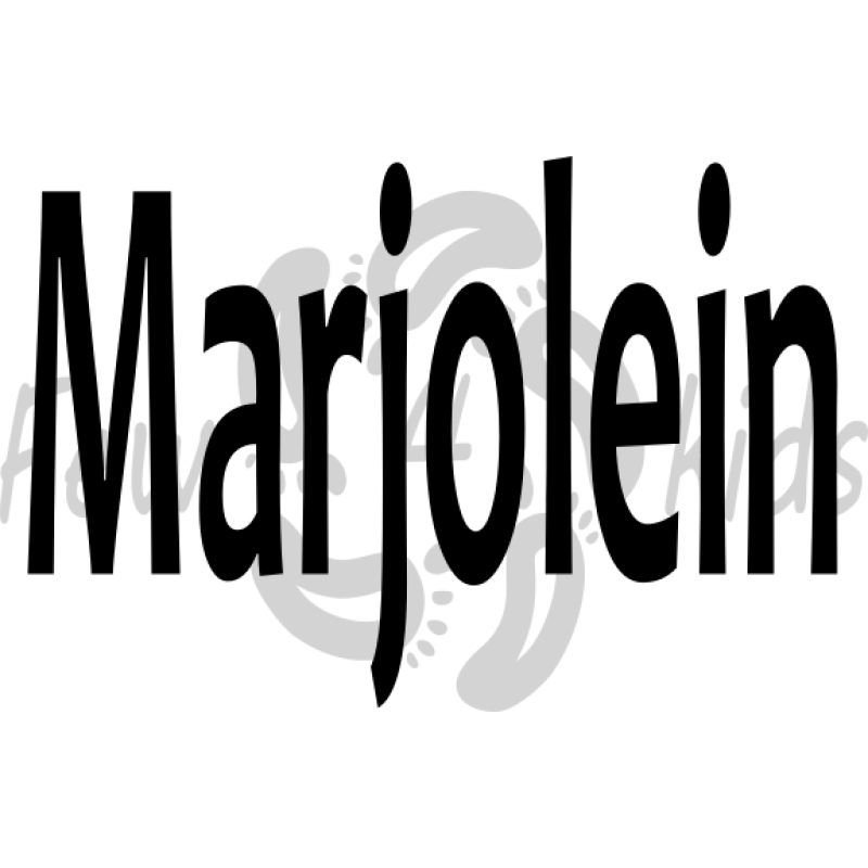 Naam Strijkapplicatie